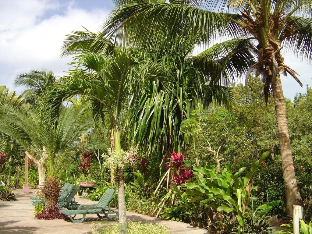 Sunset Bay Club&SeaSide Dive Resort Salisbury Exterior foto